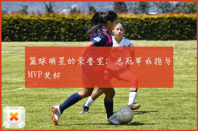 篮球明星的荣誉室:总冠军戒指与MVP奖杯