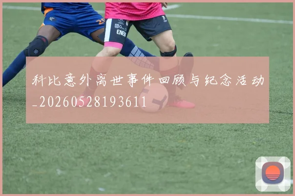 科比意外离世事件回顾与纪念活动_20260528193611